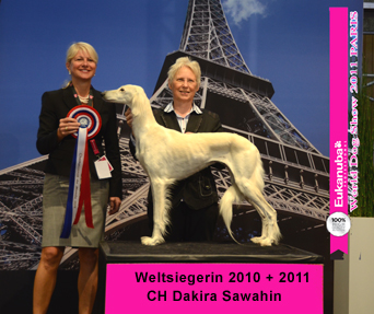 World Champion 2011 CH Dakira Sawahin, Foto: Animal Studio