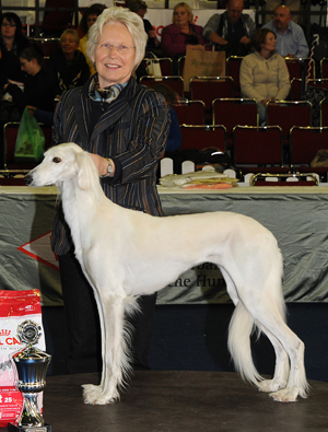 CH Dakira Sawahin, Eukanuba World Challenge Champion 2008, World Winner 2010+2011, Foto: ROBERTO