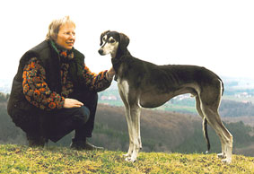 Saluki CH Viranuu Sawahin, Foto: B.Thoene-Thonhofer