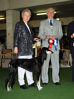 Weltsiegerin 2003 Saluki CH Walisha Sawahin, Foto: Silke Hopf, CH